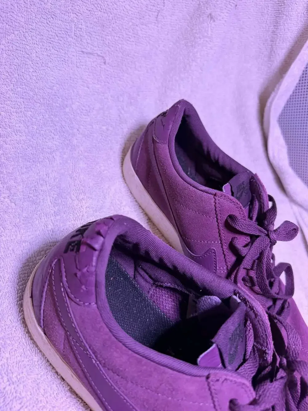 Nike SB Bruin Premium SE Viotech Purple Suede Skate Shoes 877045-500